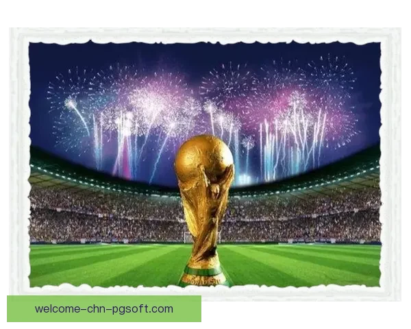 2026世界杯决赛将在纽约大都会人寿体育场举办 世界足坛盛事再度聚焦美国